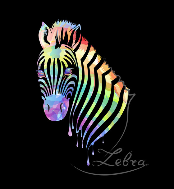 Colored zebra on black - Вектор,изображение