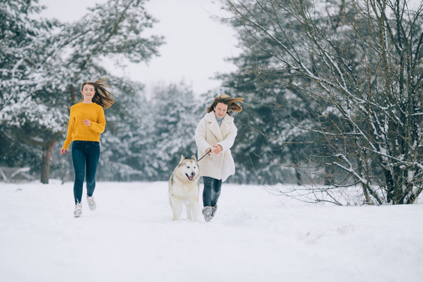 Δύο κορίτσια εκτελούνται σε ένα χιονισμένο δασικό δρόμο με ένα σκυλί από την Αλάσκα Malamute το χειμώνα. - Φωτογραφία, εικόνα