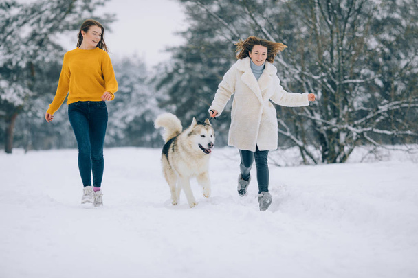 Due ragazze corrono su una strada forestale innevata con un cane Alaskan Malamute in inverno
. - Foto, immagini