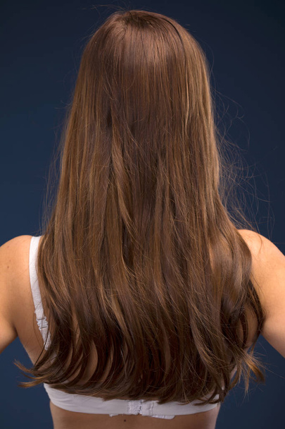 Female Long brunette hair, rear view, isolated on blue background - Фото, зображення