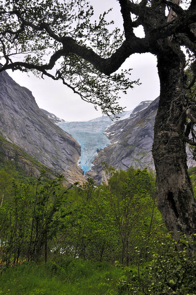 ノルウェーのジョステダル氷河の言語 - 写真・画像