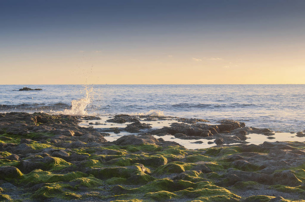 olas rompiendo en las rocas cubiertas de musgo - Foto, Bild