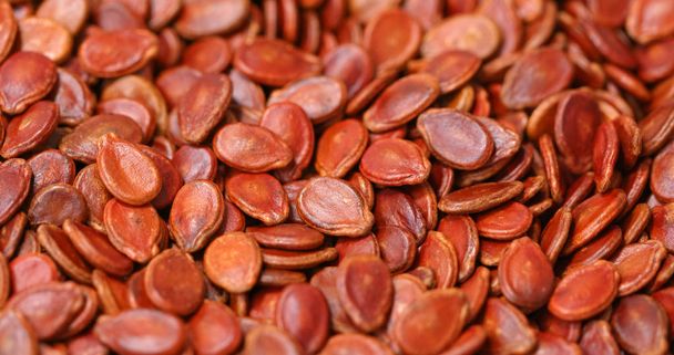 Красные семена арбуза
 - Фото, изображение