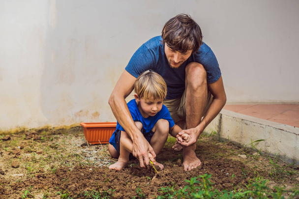 Father and son gardening in the garden near the house - Photo, image