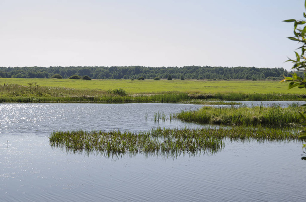 water, lake, landscape, nature, sky, summer, blue, green, tree, forest, reflection, pond, trees, grass, clouds, swamp, outdoors, marsh, outdoor, rural, beauty, view - Foto, Imagen