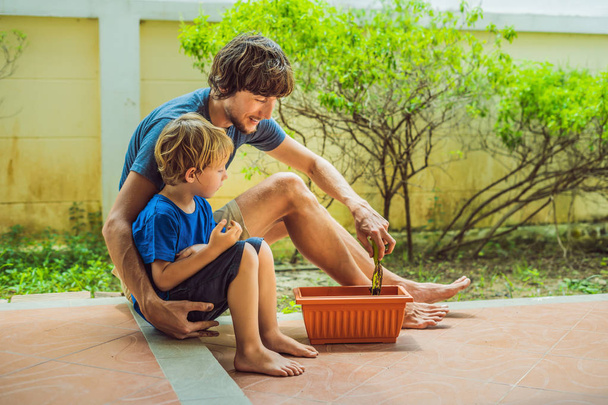 Father and son gardening in the garden near the house - 写真・画像