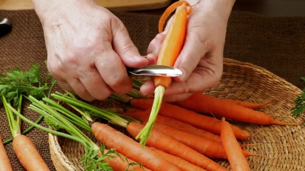 Vegetales de raíz. Primeros planos manos de mujer pelando zanahoria
. - Metraje, vídeo