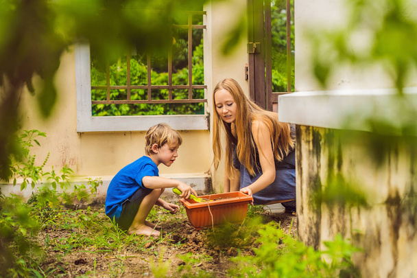 Beautiful young woman and her cute son planting seedlings in bed in the domestic garden at summer day. Garden tools, gloves and watering can outdoors. Gardening activity with little kid and family - Zdjęcie, obraz