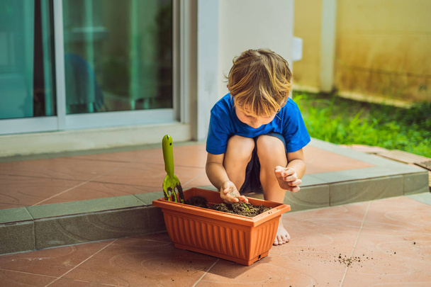 Little cute boy sows seeds in a flower pot in the garden - Zdjęcie, obraz