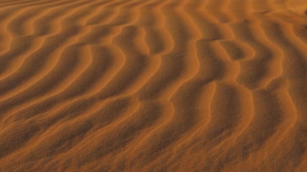czerwony piasek pustyni - Materiał filmowy, wideo