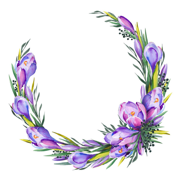 Purple crocus flower wreath. Watercolor illustration on white background. - Фото, зображення