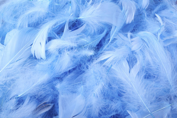 blue chicken decorative feathers, background image - Foto, Bild