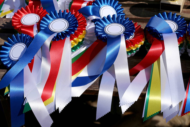 Grupo de equitación equitación trofeos deportivos insignias rosetas en evento ecuestre en verano
 - Foto, imagen