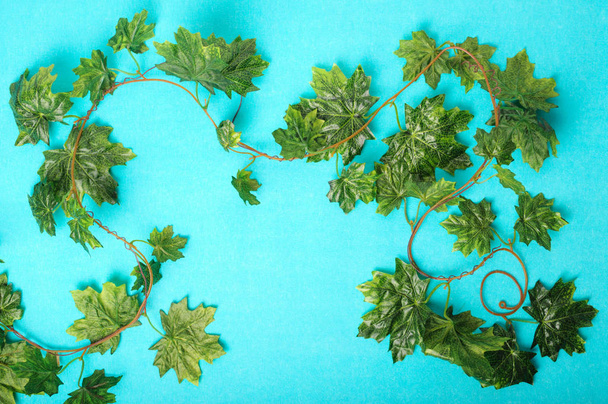 Branch of grapes on a turquoise background . - Foto, Imagem