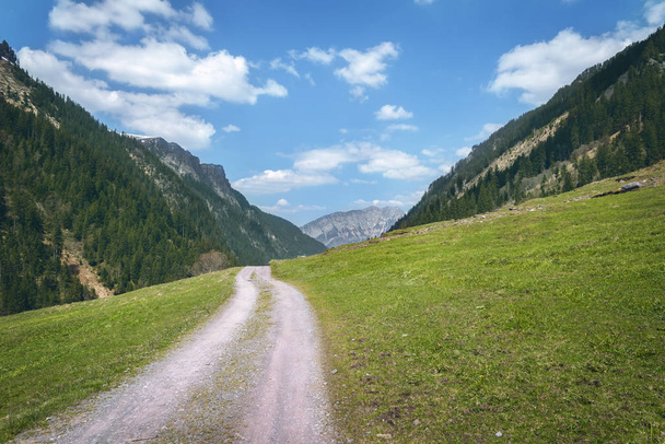 Paisaje de verano con una carretera a través de verdes valles en las montañas de los Alpes suizos, en un día soleado. Naturaleza primaveral sin gente, en Suiza
. - Foto, imagen