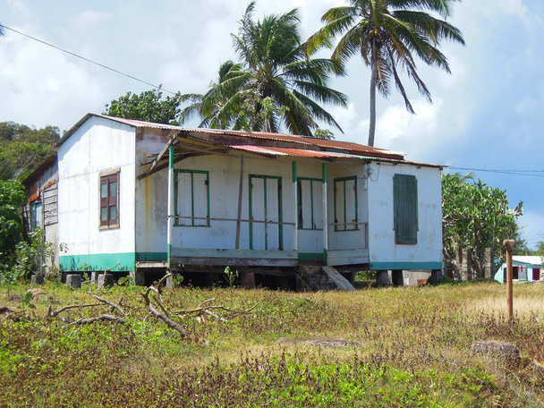 Velké architektury typický dům Corn Island Nikaragua střední Ameriky na špalcích s coconut palm stromy, modrá obloha - Fotografie, Obrázek