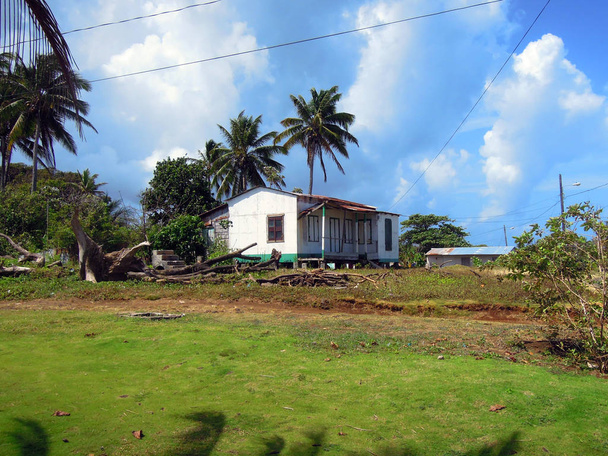 Big Corn Island Nicaragua Centroamérica arquitectura típica de la casa en bloques de cemento con palmeras de coco cielo azul
 - Foto, Imagen