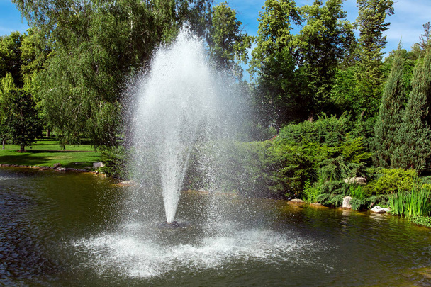 decorative pond with fountain spraying water against the background of plants and tree. - Foto, afbeelding