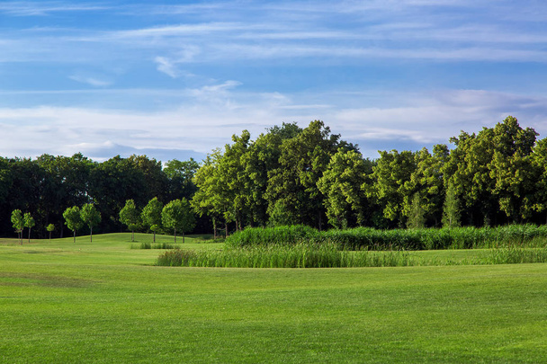 пейзаж холмистой поляны на заднем плане тростника и высокие лиственные деревья и голубое небо с облаками
. - Фото, изображение