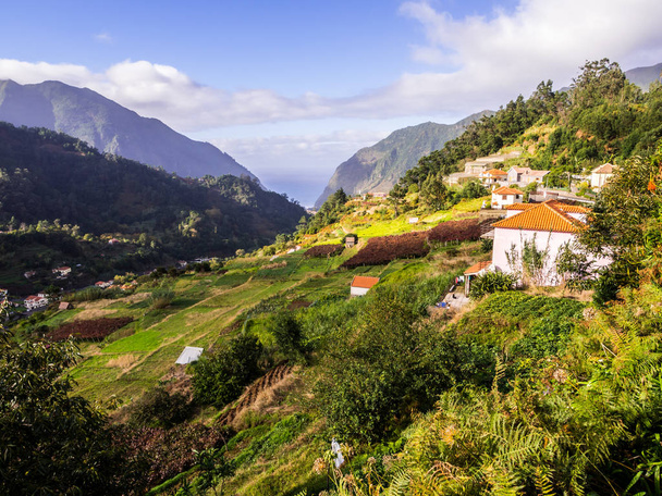 picturesque view of houses on green hills at north of Madeira island, Portugal. - 写真・画像