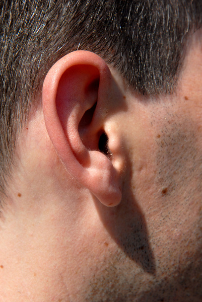 closeup kavkazské muži ucho s některými - Fotografie, Obrázek