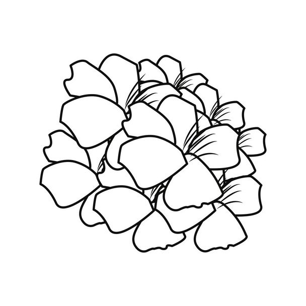 bouquet flowers on white background - Vecteur, image