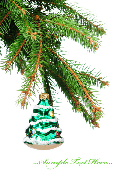 Pine branches and Christmas ornaments - 写真・画像