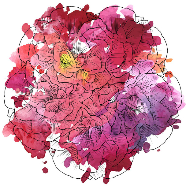 vector drawing flower of lily - Вектор,изображение