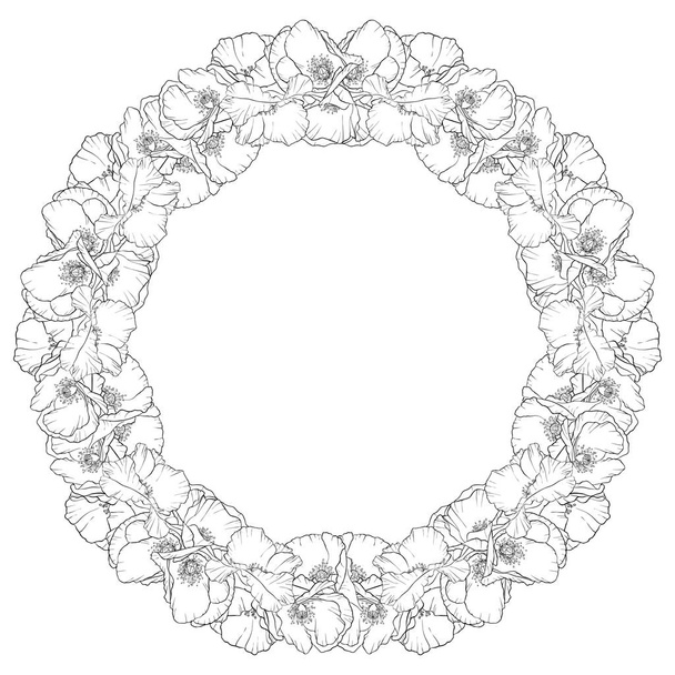 vector drawing poppy flowers - Vector, Imagen