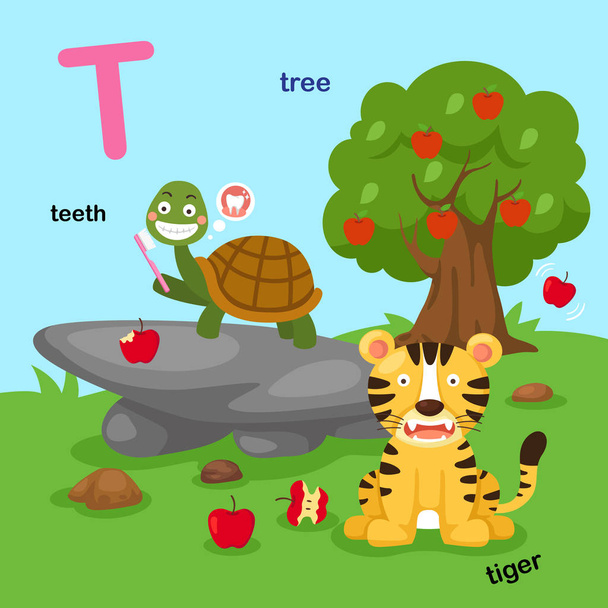 Ilustração Isolado alfabeto letra T-dentes, tigre, árvore.
 - Vetor, Imagem