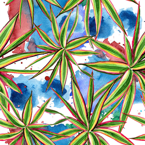 Dracaena marginata tricolor. Watercolor background illustration set. Seamless background pattern. - Фото, изображение