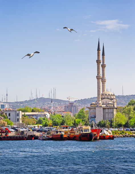 Mecset Isztambul partján a - Fotó, kép