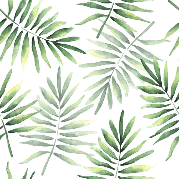 Watercolor drawing of a seamless pattern with tropical coconut leaves isolated on white background - Φωτογραφία, εικόνα