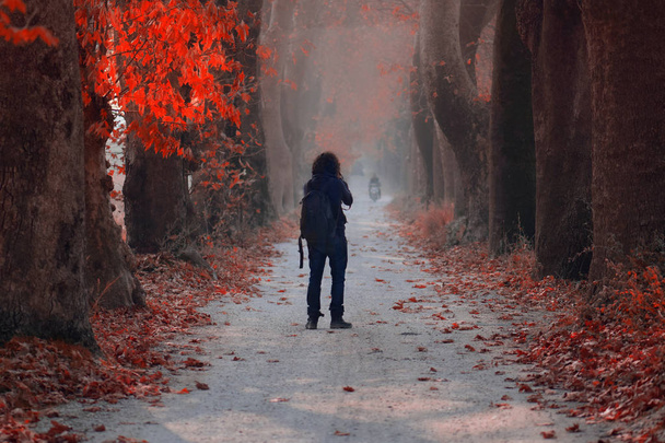 道で男性と 10 月、2018 年にトルコ: 秋霧の風景 - 写真・画像
