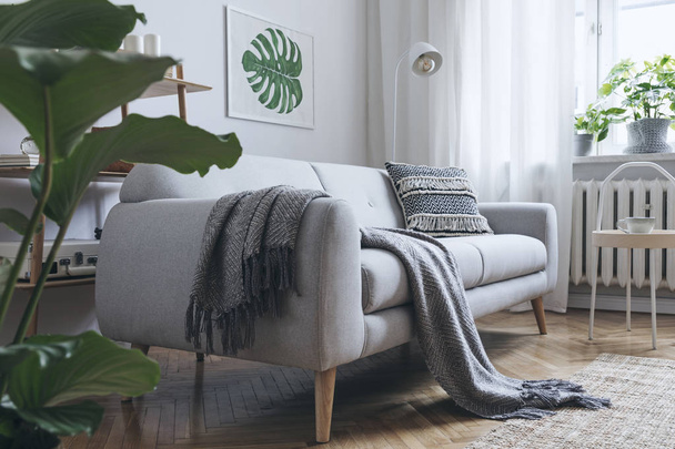 Cozy living room interior with grey sofa in scandinavian style and painted monstera leaf in frame on wall - Photo, image