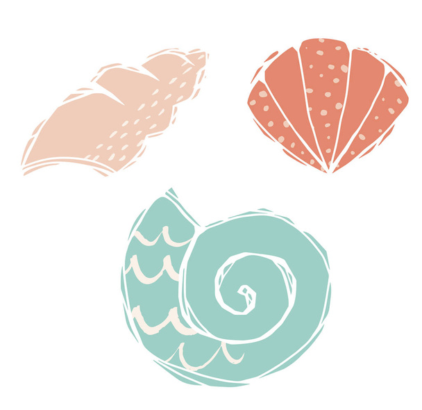 Shells engraving print. Cute sea animal. Cool ocean illustration - Вектор,изображение