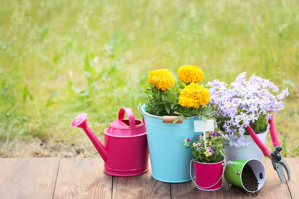Garden tools with flowers in buckets on wooden board - Foto, immagini