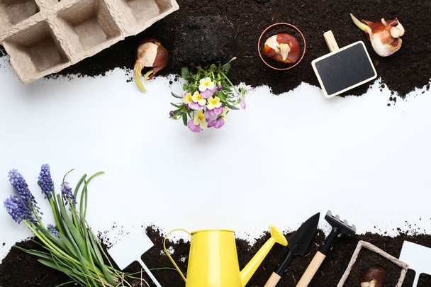 Garden tools with flowers and bulbs on the ground - Zdjęcie, obraz