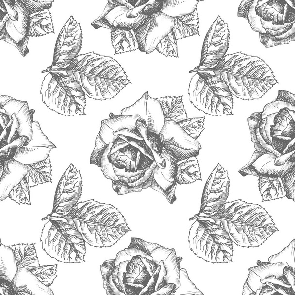 Seamless pattern Hand drawn sketch roses Detailed vintage botanical illuatration. Floral frame. Black silhouette isollated on white background. Vector Creative graphic art in engraving style - Vector, Imagen
