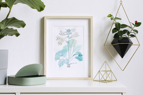 Watercolor plant drawing in white frame in stylish minimalist interior  - Φωτογραφία, εικόνα