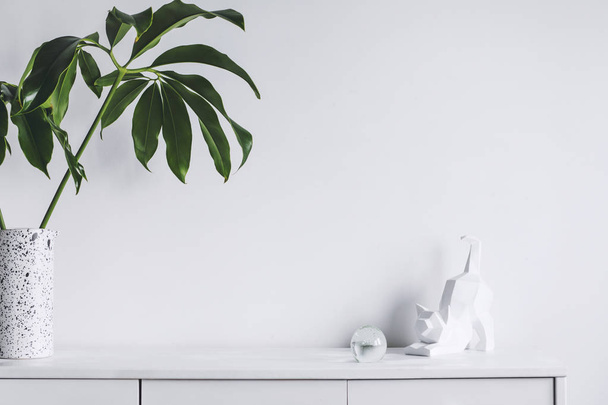 Minimalistic concept of white home interior with green plants and scandinavian decor - Valokuva, kuva
