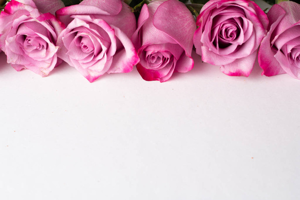 Rózsaszín rózsák hely a tex - Fotó, kép