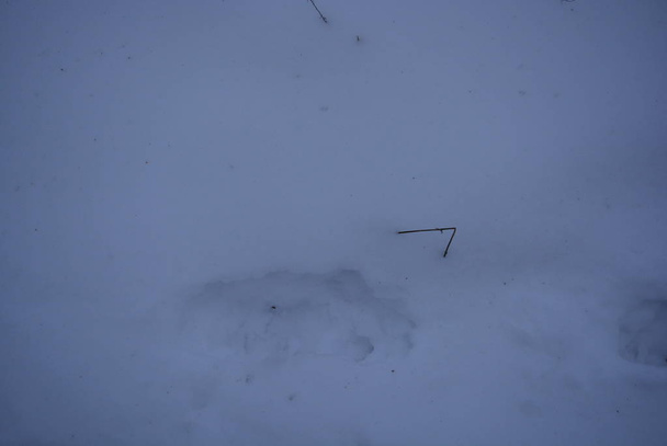 Хорошая зимняя погода, белоснежный снежный покров на земле
 - Фото, изображение