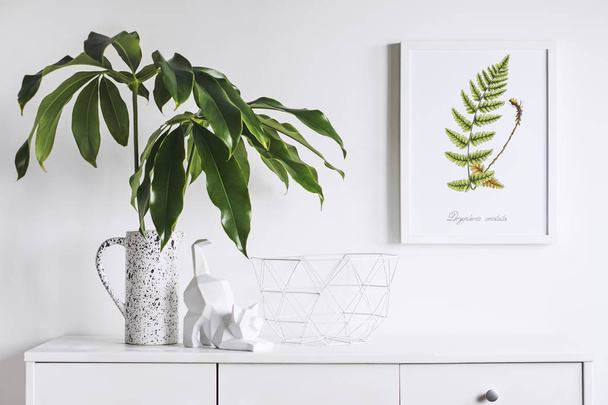 Minimalistic concept of white home interior with green plants and scandinavian decor - Foto, Imagen