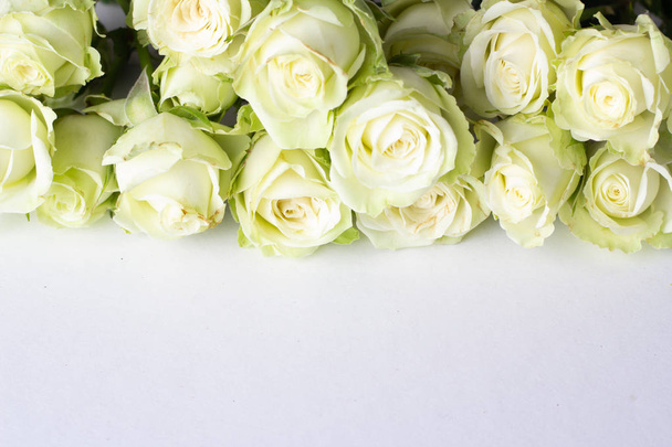 Fehér Rózsa egy fehér háttér és a hely a tex - Fotó, kép
