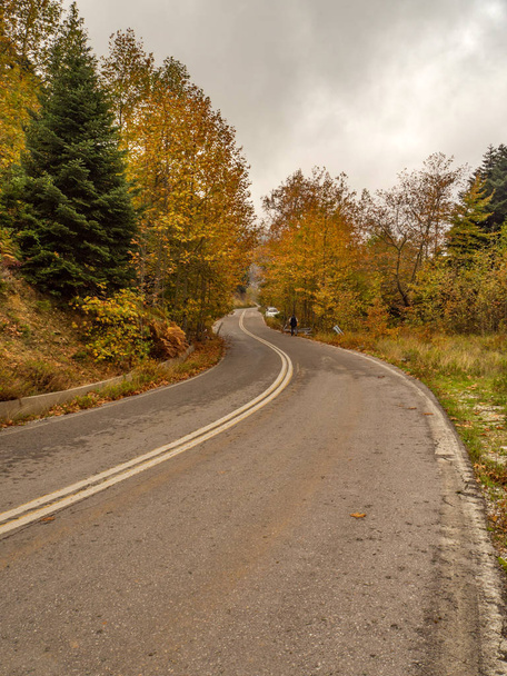 Road-az őszi erdő, fák, sárga lomb és a felhők, a szigeten, Evia, Görögország - Fotó, kép