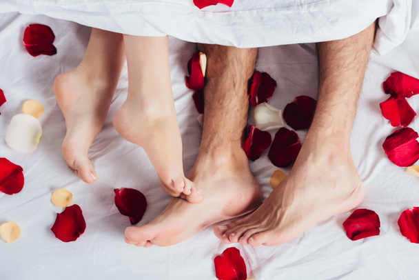 partial view of loving couple lying on soft white bedding with red petals  - Foto, afbeelding
