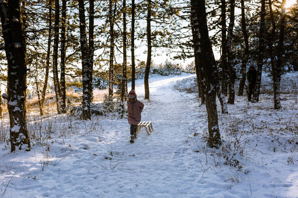 Ładna dziewczyna spaceru przez las z saniami - Zdjęcie, obraz
