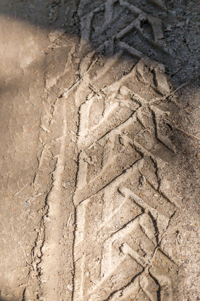 Impronta del trattore sulla sabbia ferma di una foresta
 - Foto, immagini