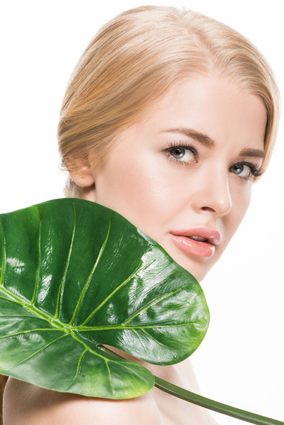 beautiful young woman holding green tropical leaf and looking at camera isolated on white - Zdjęcie, obraz